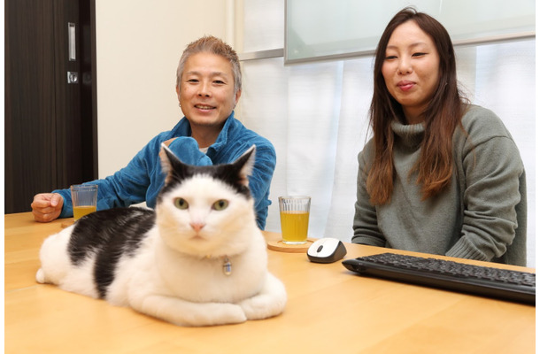 【ペットと出勤できる会社】“猫とともに働く”IT企業「ファーレイ」