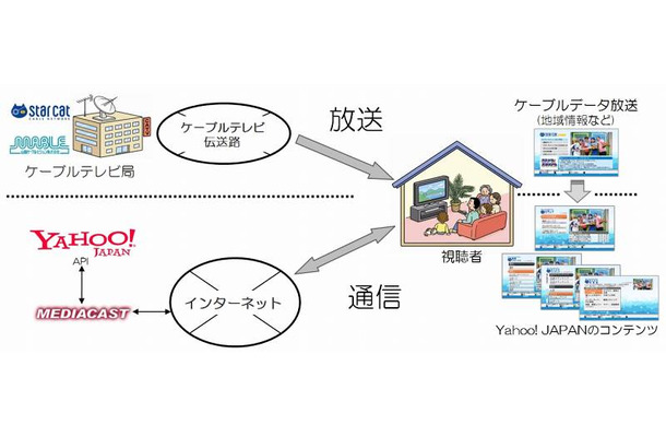 実験概要図