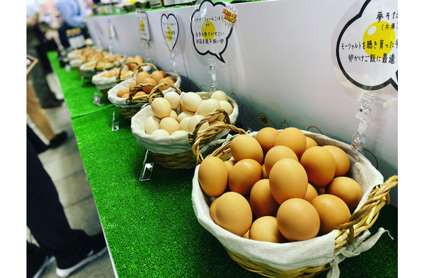 日本たまごかけごはん研究所プロデュース「幻の卵屋さん」が東京タワーに期間限定出店