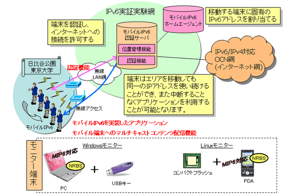 実験の概要図