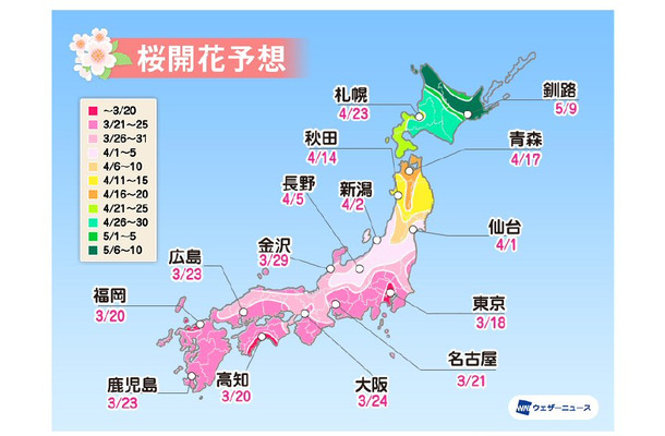 桜開花トップは東京で3月18日予想！全国的に平年より早い傾向......ウェザーニューズ「第二回桜開花予想」