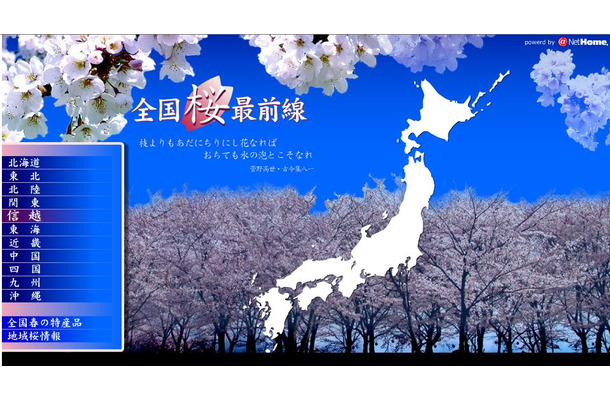 全国桜前線