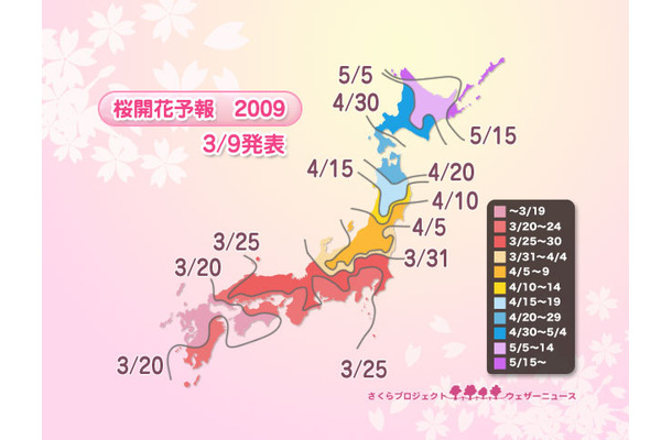 桜開花の時期