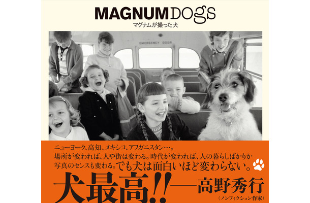 『MAGNUMDOGSマグナムが撮った犬』マグナム・フォト著／藤井留美 訳／2021年10月25日発行