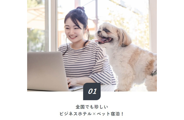 ビジネスホテルで愛犬と一緒に宿泊できるリーズナブルなプランが登場！