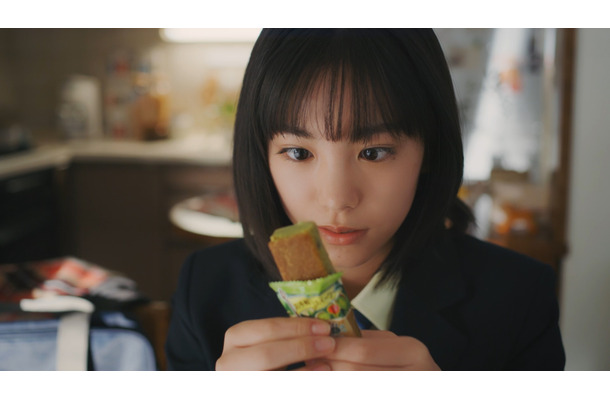 「濃厚チョコブラウニーピスタチオ『はじめまして』篇」