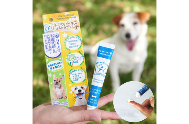 犬のオーラルケアの重要性を解説　「ドッグハピネス」公式サイトオープン