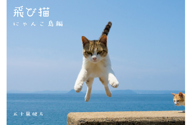 飛び猫　にゃんこ島編（1,400円＋税）