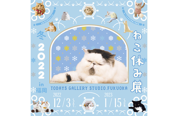 「ねこ休み展 冬 2022 in 福岡」開催