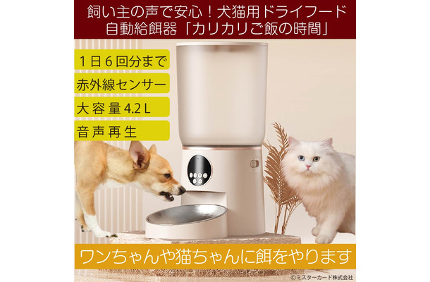 カリカリご飯の時間