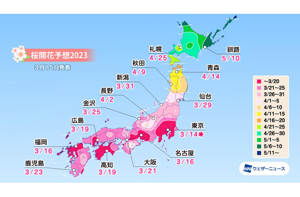 京都・嵐山の桜満開は31日！各地の満開予想は？