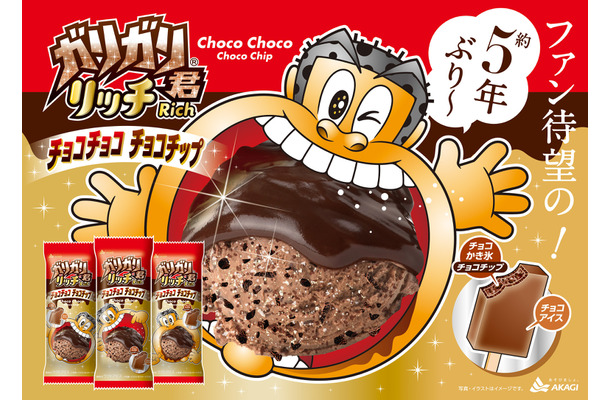 ガリガリ君リッチチョコチョコチョコチップ
