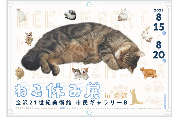 ねこ休み展 2023 in 金沢