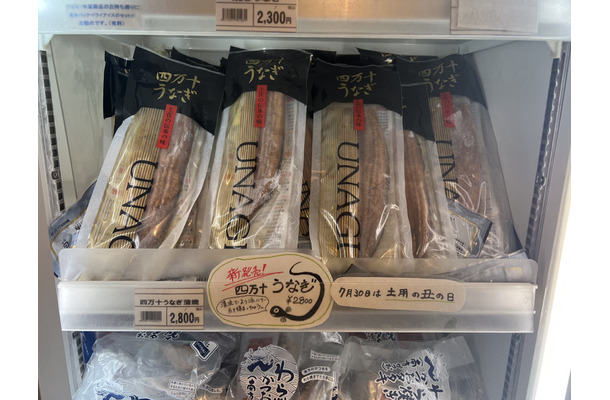 四万十うなぎ