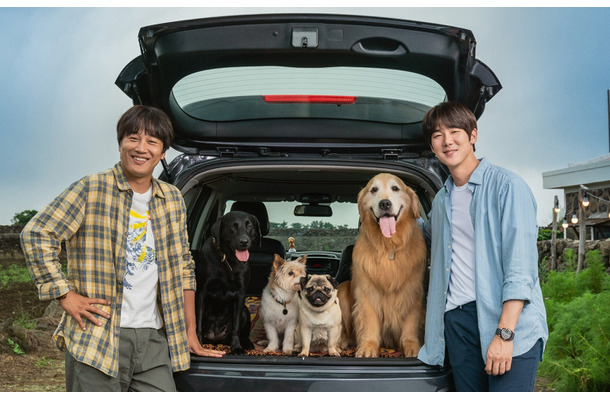 （C）2023. Yworks Entertainment Co.,Ltd. All rights reserved.