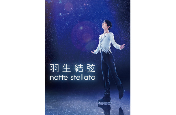 （C）nottestellata