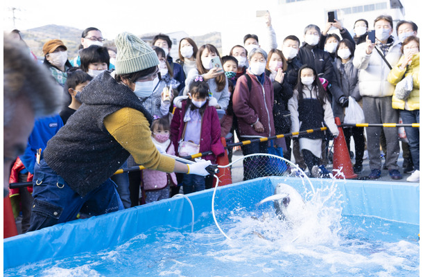 伊東温泉めちゃくちゃ市