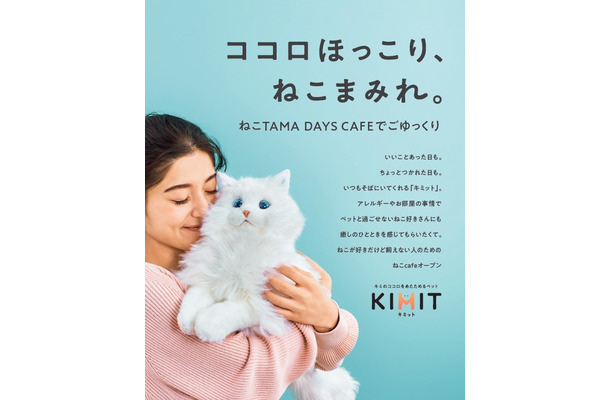 ねこTAMA DAYS CAFE