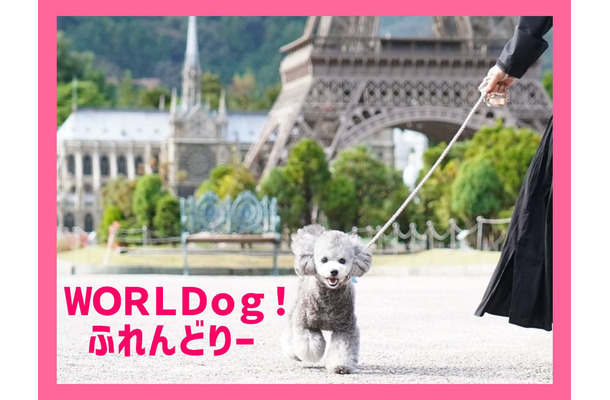 WORLDog！ふれんどりー