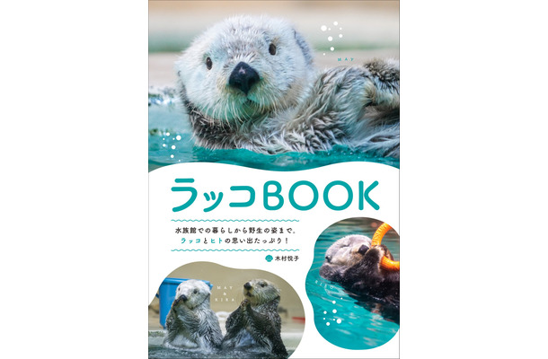 『ラッコBOOK』（グラフィック社）書影