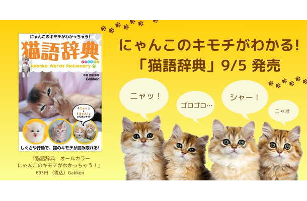 猫語辞典　オールカラー　にゃんこのキモチがわかっちゃう！