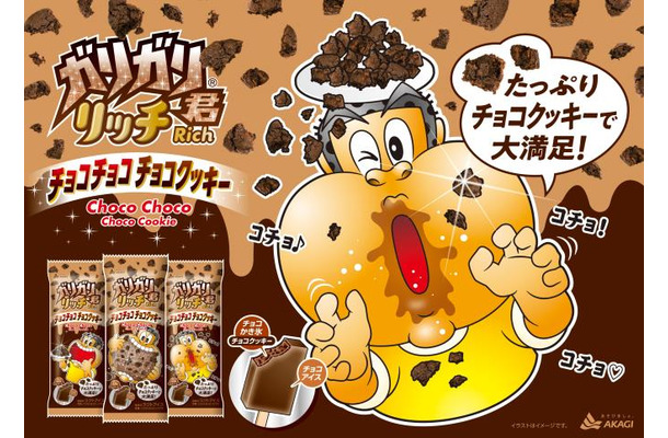 ガリガリ君リッチチョコチョコチョコクッキー