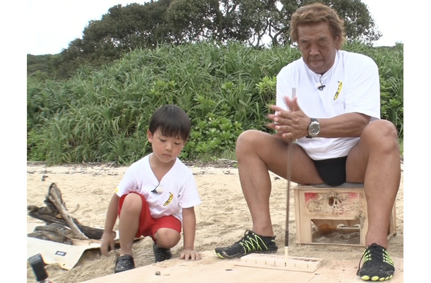 （ｃ）TBS