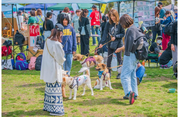 前回開催の様子