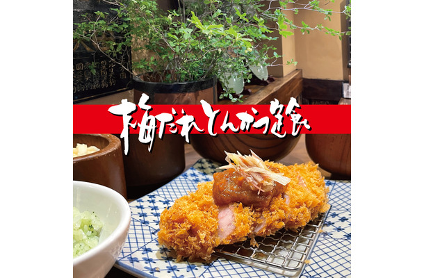 夏季限定「梅だれとんかつ定食」