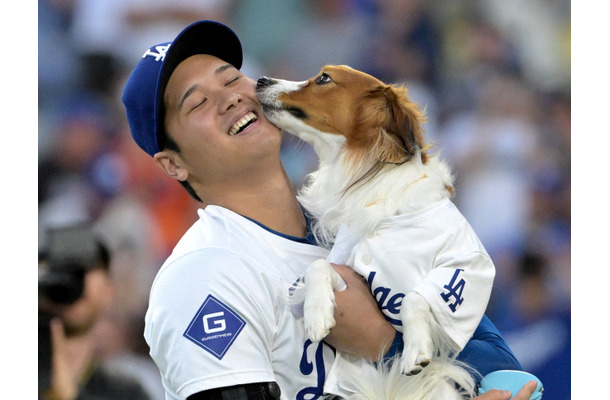 大谷翔平の愛犬デコピン祝福ショットに韓国も胸キュン！「格別な愛情」「心揺さぶられる…」