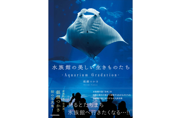 『水族館の美しい生きものたち －Aquarium Gradation－』株式会社KADOKAWA