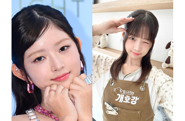 「完璧でなくても」IVE・レイ、すべての犬を幸せにする“幼稚園”で先生を務め…気付いたこととは？