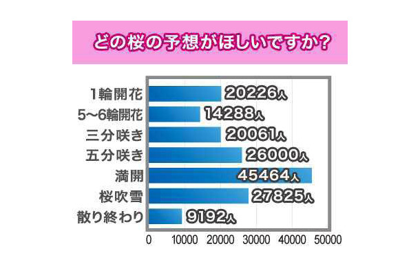 どの時期の桜の予想がほしいか