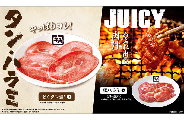 ルビ・ハラミ・タン・ホルモンなどのお肉から、創作焼肉や人気の「蜜おさつバター」など、40品以上が楽しめる学生限定の食べ放題メニュー！