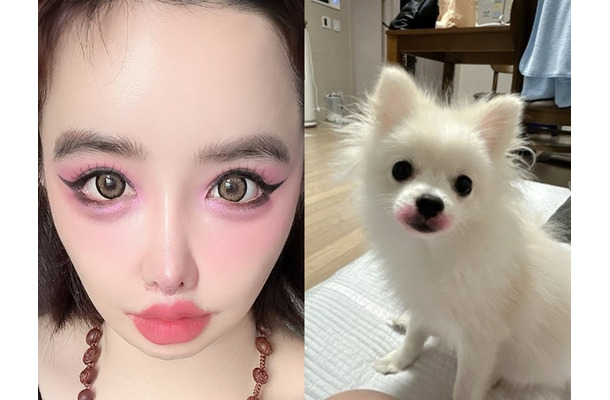 犬に“口紅”塗りたくり炎上　「64272e兆億ウォン」告訴に続いて韓国アイドルがまたしても奇行