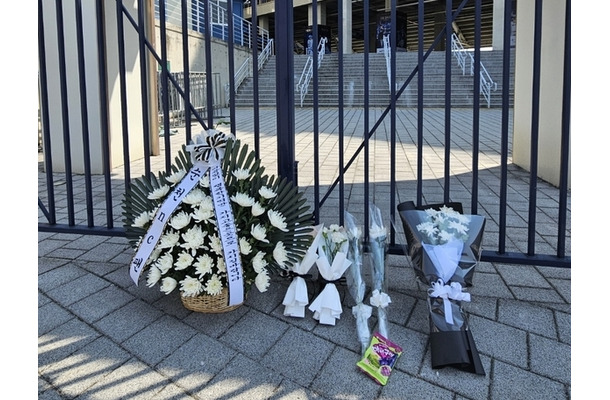 球場死亡事故の責任は委員会か自治体か 韓国プロ野球が抱える「構造的欠陥」