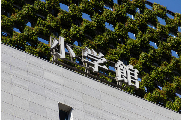 小学館©vacant - stock.adobe.com