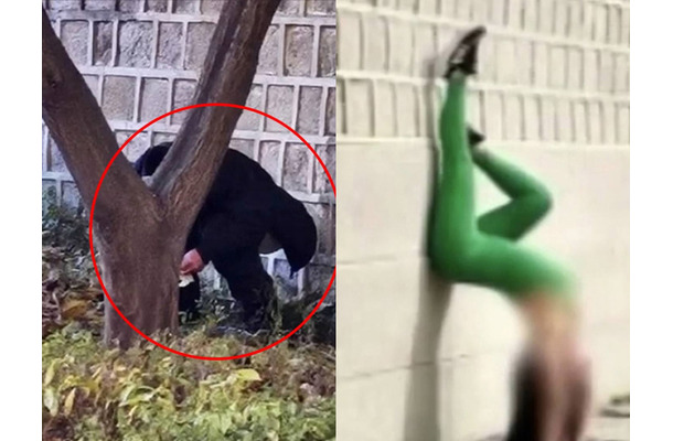 「最低限の礼儀守れ」ついに“排便”する姿まで　韓国の文化遺産一帯で外国人観光客の迷惑行為、大学教授が怒り