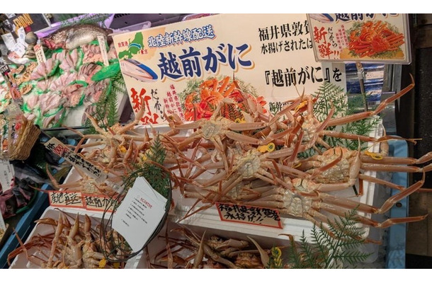 【イオン 超！ブラックフライデーセール特別企画】越前がに