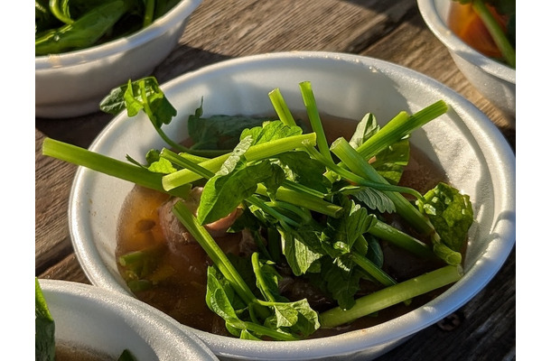 宮城名物のせり鍋