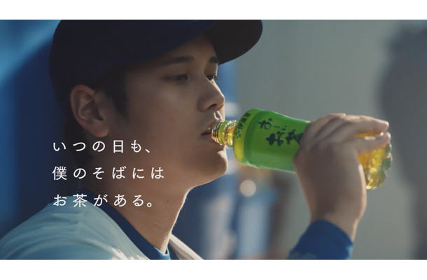 伊藤園／お～いお茶