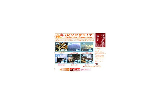 　信州上田の紅葉をインターネットライブ中継する期間限定サイト「UCV紅葉ライブ」を、UCV 上田ケーブルビジョンが開設した。