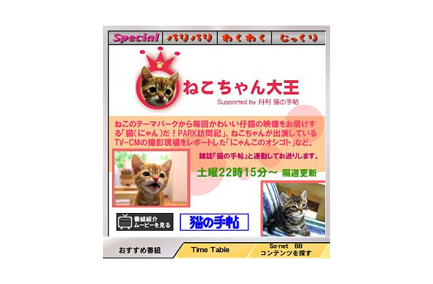 あのHITOEやかわいいねこちゃんの番組が登場！「So-net TV」7月の新番組