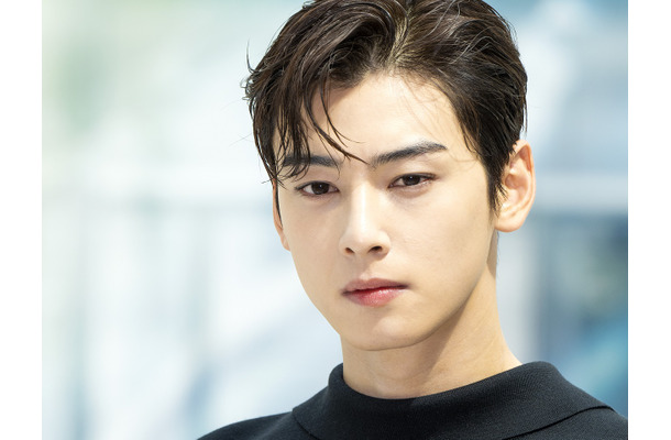 どこまで落ちていくのか　200億ウォン脱税疑惑のチャウヌ、軍での役割見直しを求める苦情まで登場