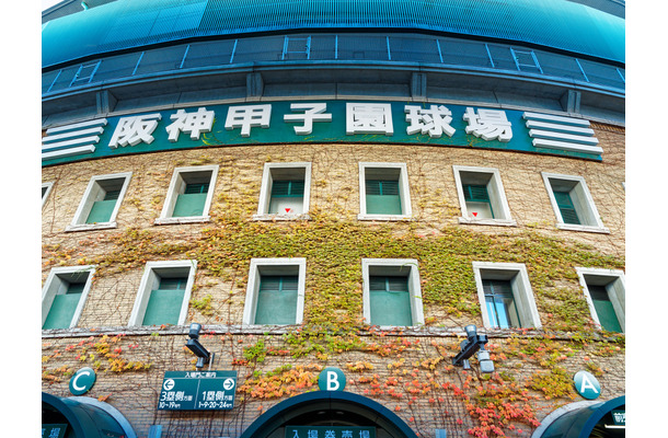 阪神甲子園球場（Loco - stock.adobe.com）