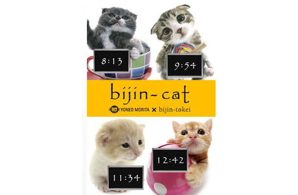 bijin-cat