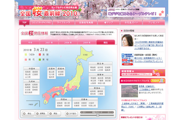 全国桜最前線