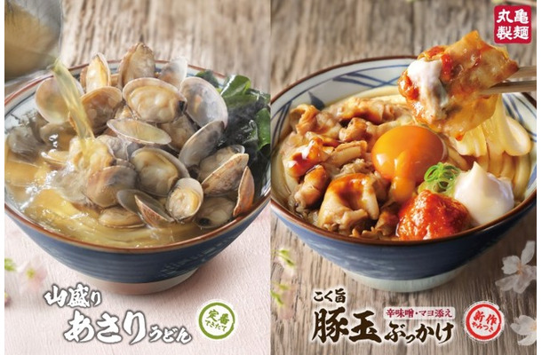 元気みなぎる『こく旨 豚玉ぶっかけうどん』あふれるあさりとだしが沁みる！ほっとやすらぐ『山盛りあさりうどん』