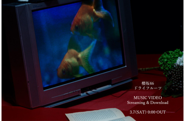 新曲『ドライフルーツ』