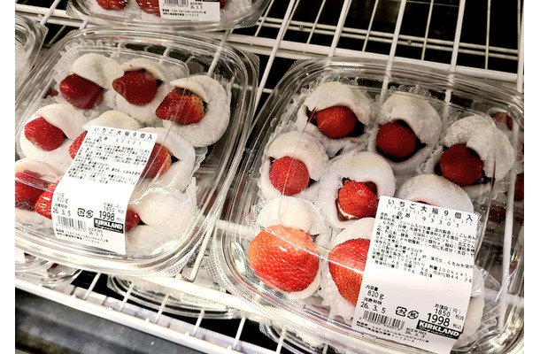 【コストコ新商品】2026年3月上旬に売り場で発見！春を感じる注目のスイーツ2種＆デリカ2種